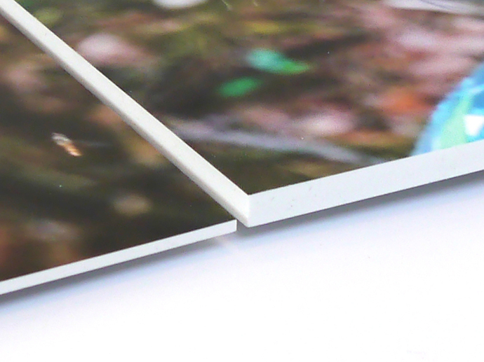 Foto op forex detail diktes